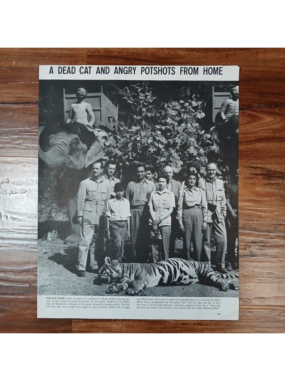 Original 1961 Life Magazine Photo- Royal Safari Tiger Queen Philip Elephants
